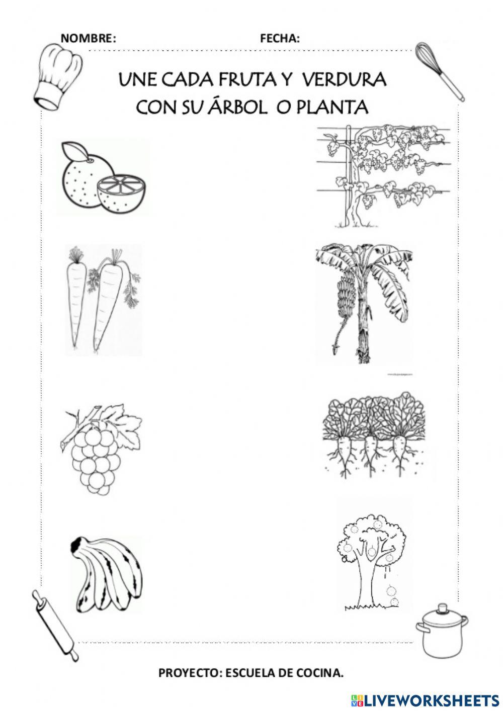 Las Frutas y sus árboles