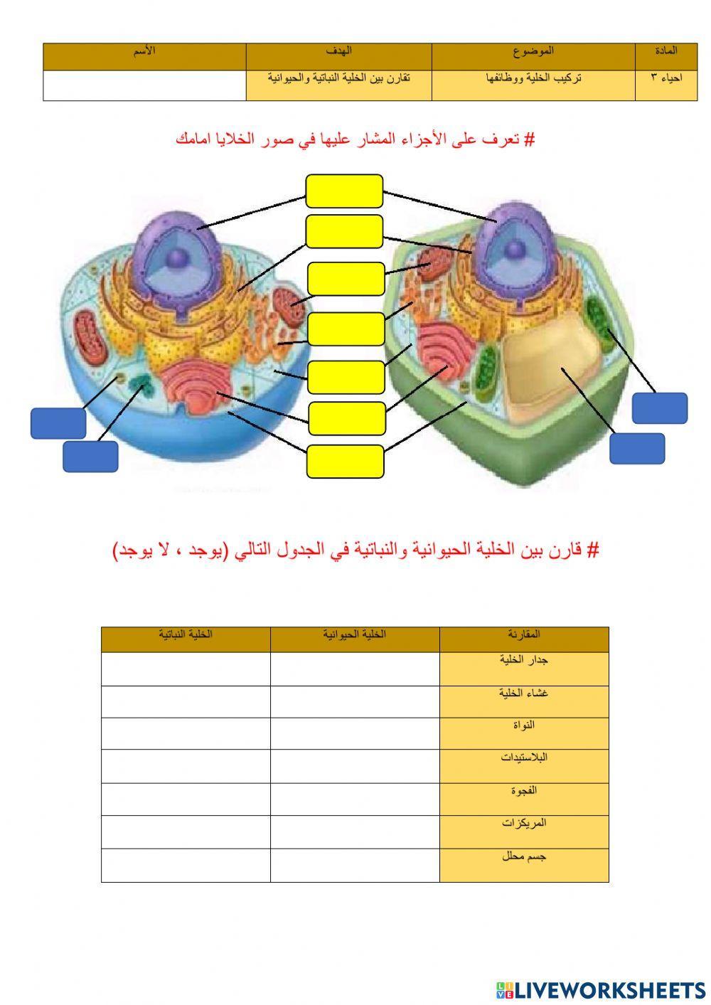 مقارنة بين الخلية الحيوانية والنباتية