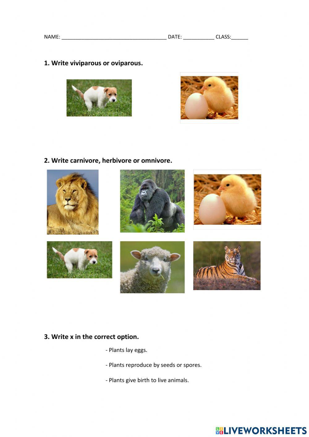 Plants an animals nutrition and reproduction