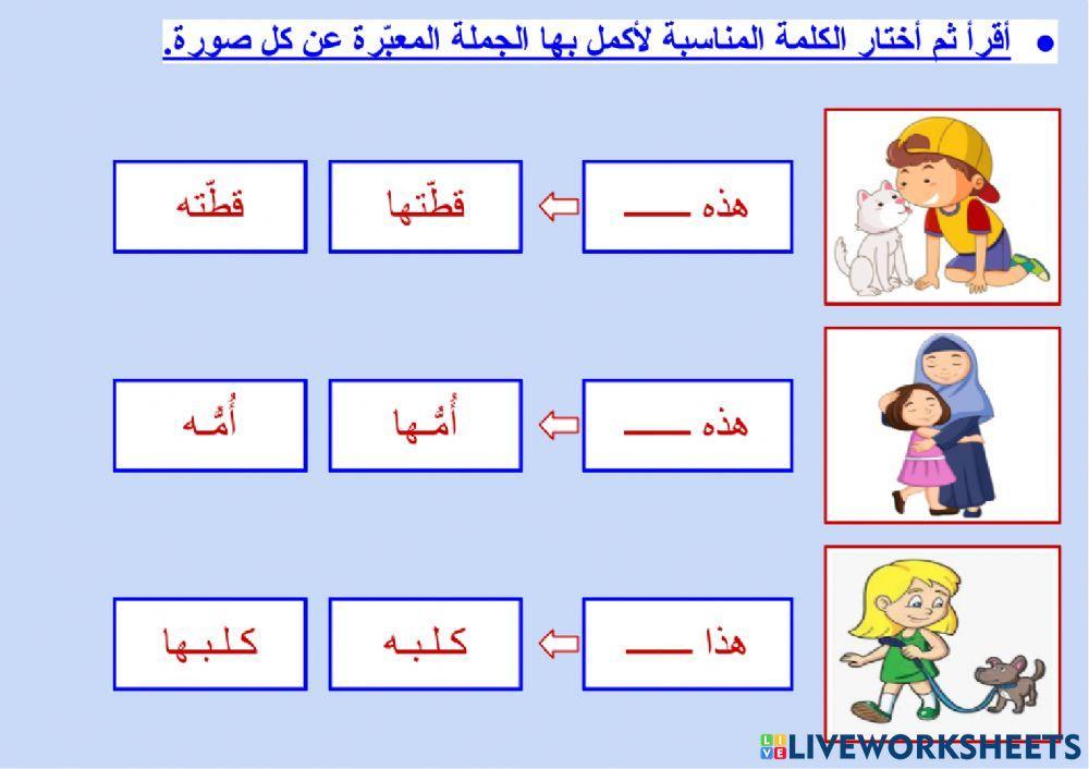 الضمائر المتصلة (الهاء) - ٢