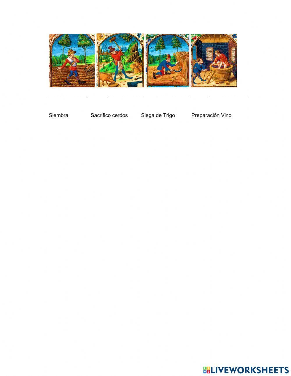 Evaluación Diagnóstica Sociales 8°