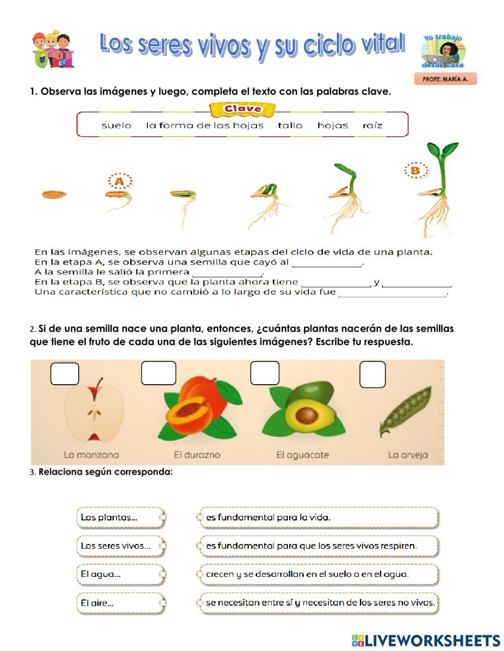 Seres vivos y su ciclo vital