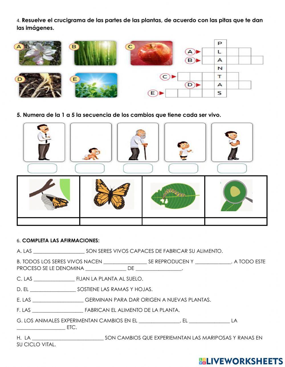 Seres vivos y su ciclo vital