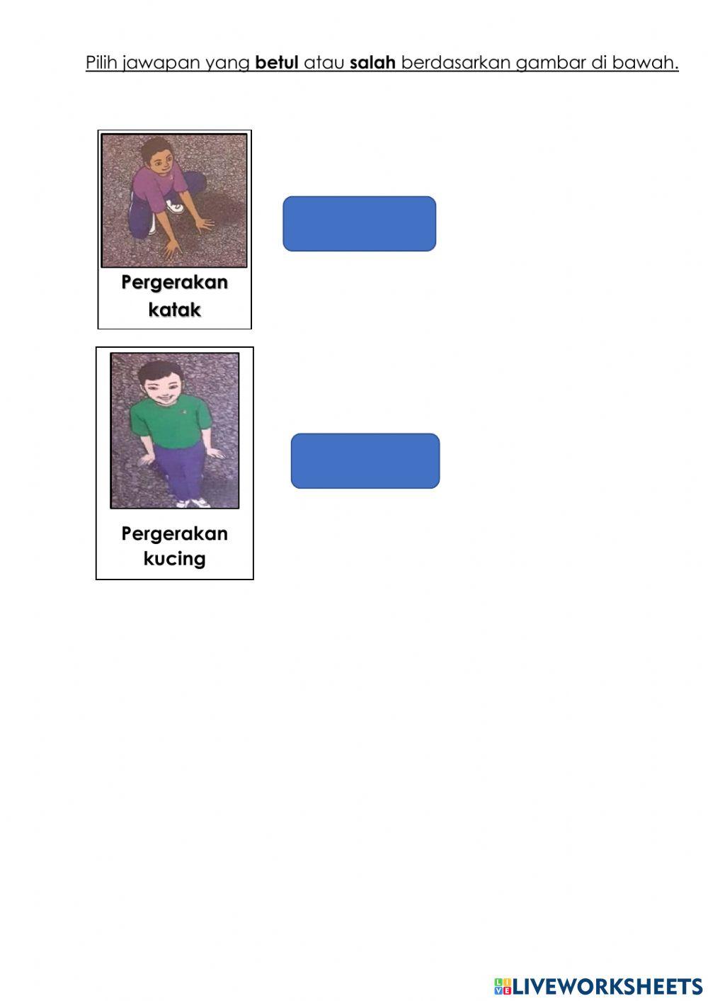 Pergerakan lokomotor