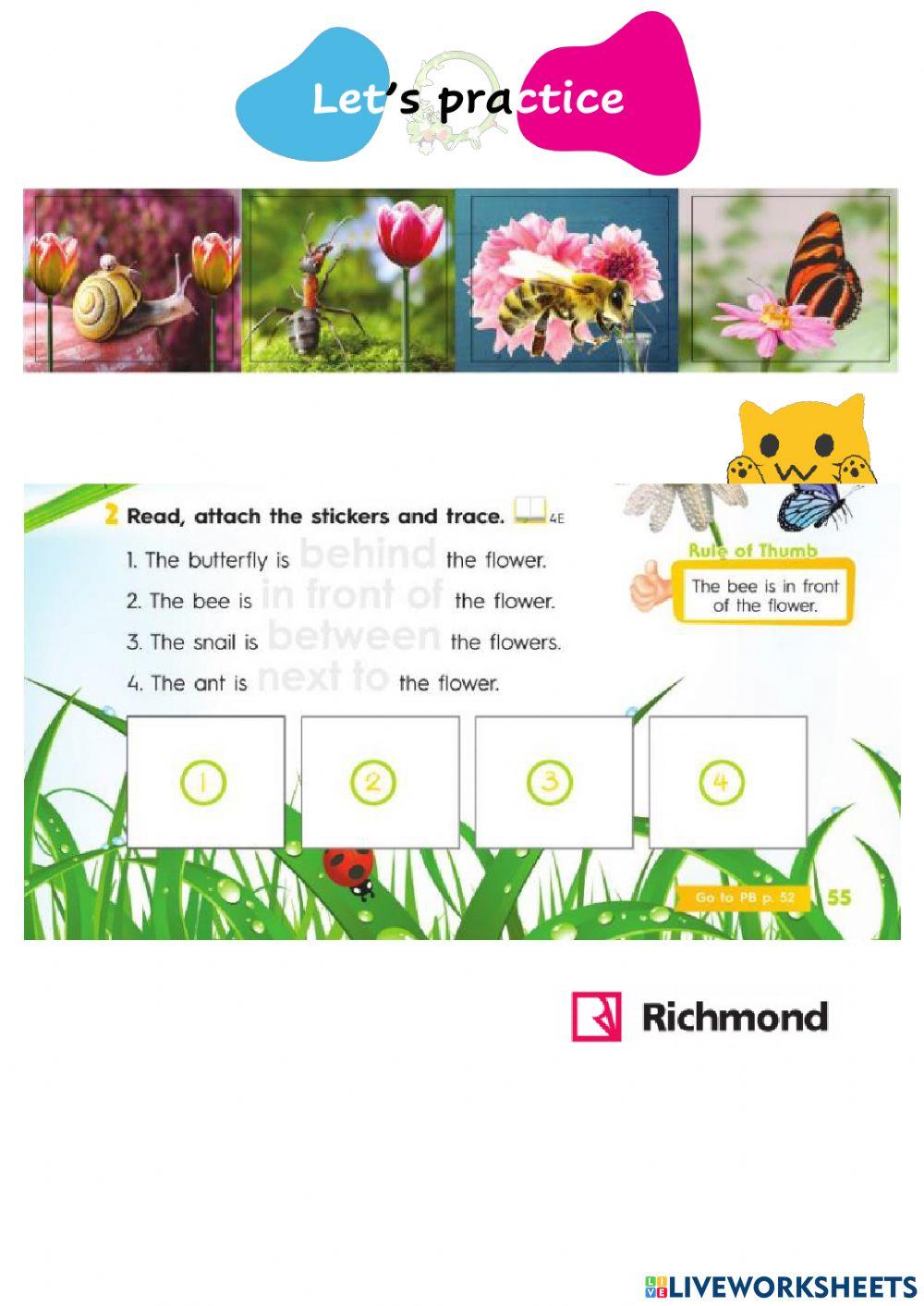 Kids 4 - Prepositions!