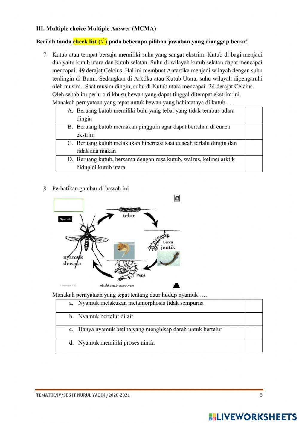 Sumative test theme 4