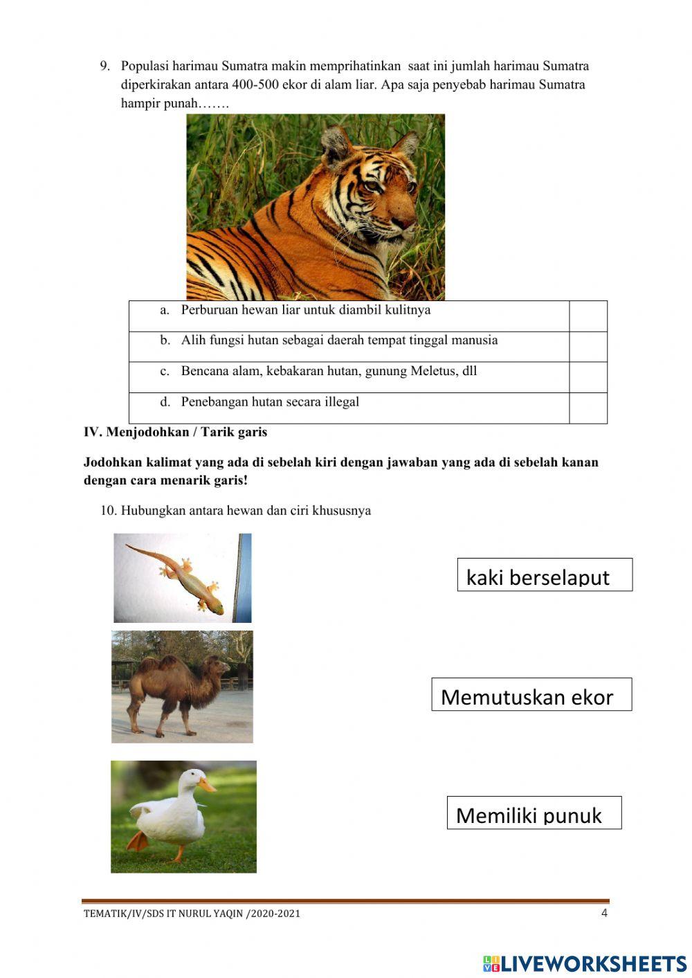 Sumative test theme 4