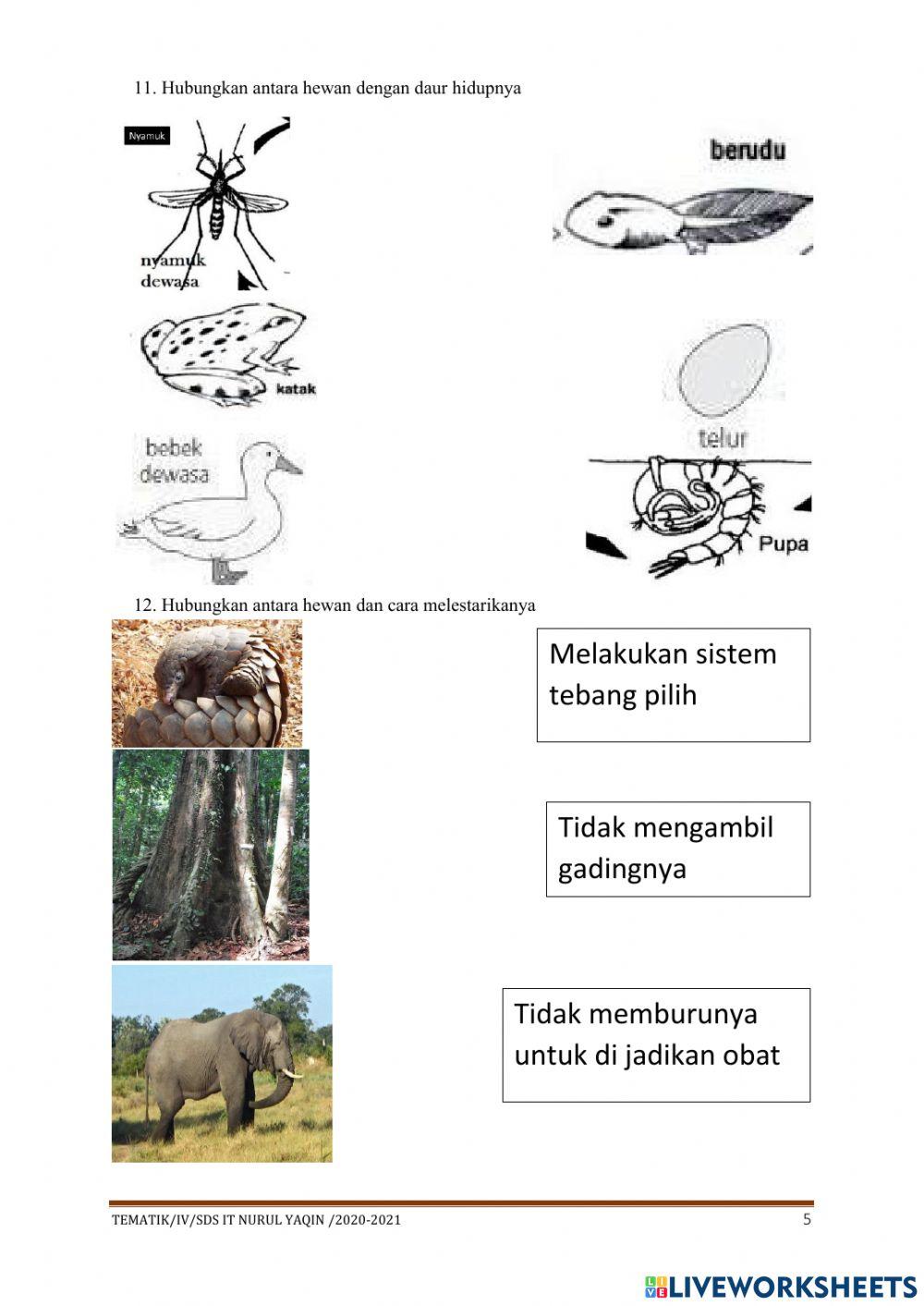 Sumative test theme 4