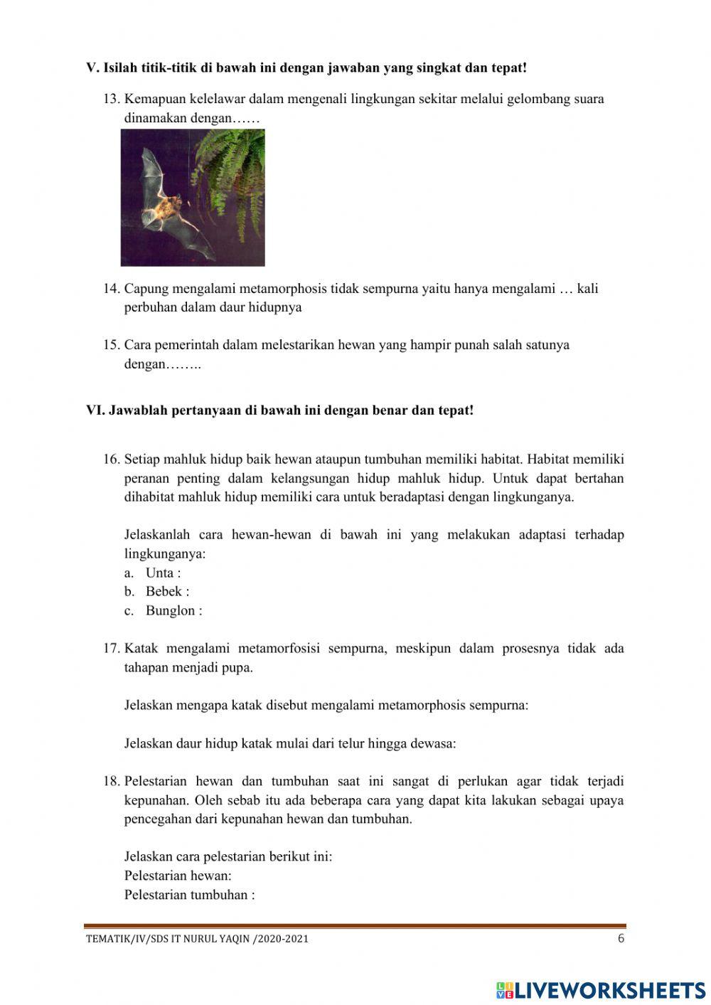 Sumative test theme 4