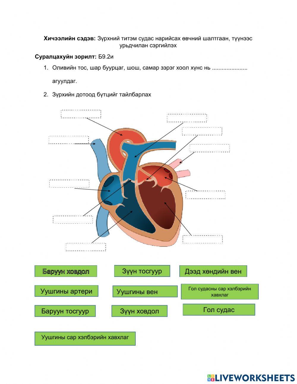 Zurhnii titem sudasnii nariisal
