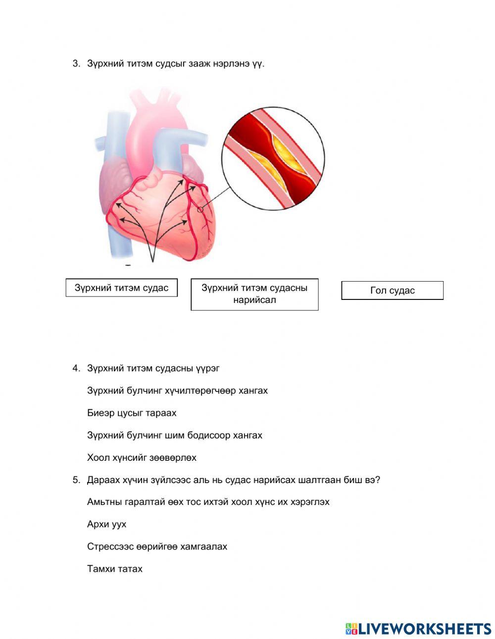 Zurhnii titem sudasnii nariisal