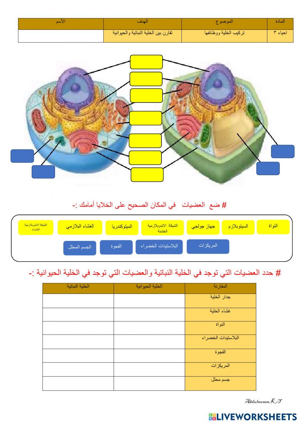 مقارنة بين الخلية الحيوانية والنباتية
