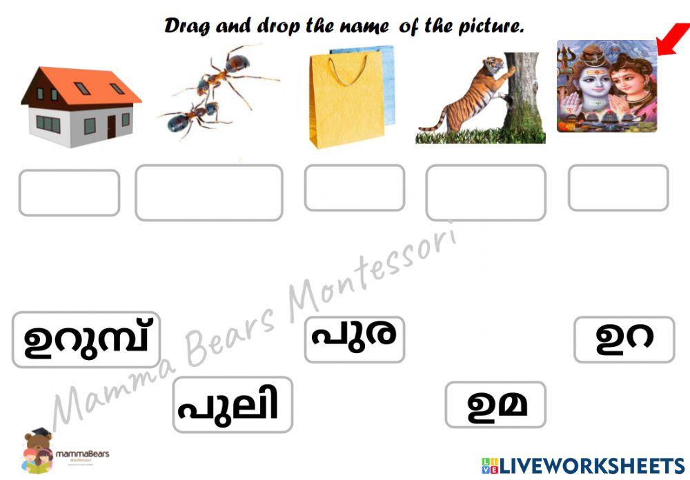 Malayalam Vocabulary Practice
