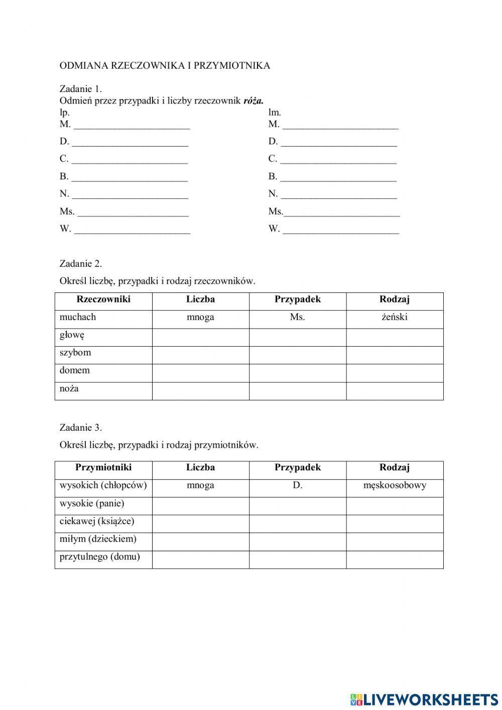 Rzeczownik i przymiotnik odmiana