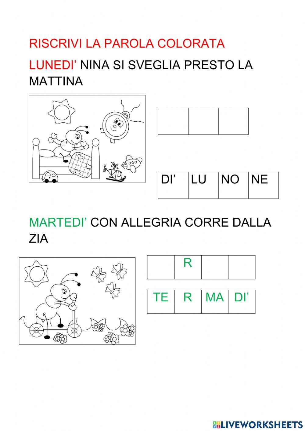 La settimana di Nina la formica