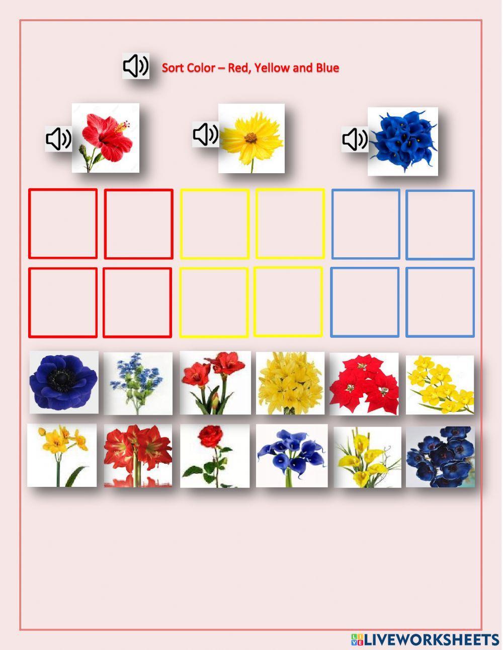 Sort Flower - red, yellow and blue - DC, Emma,George, Neo, LN, Dashly - 1.02