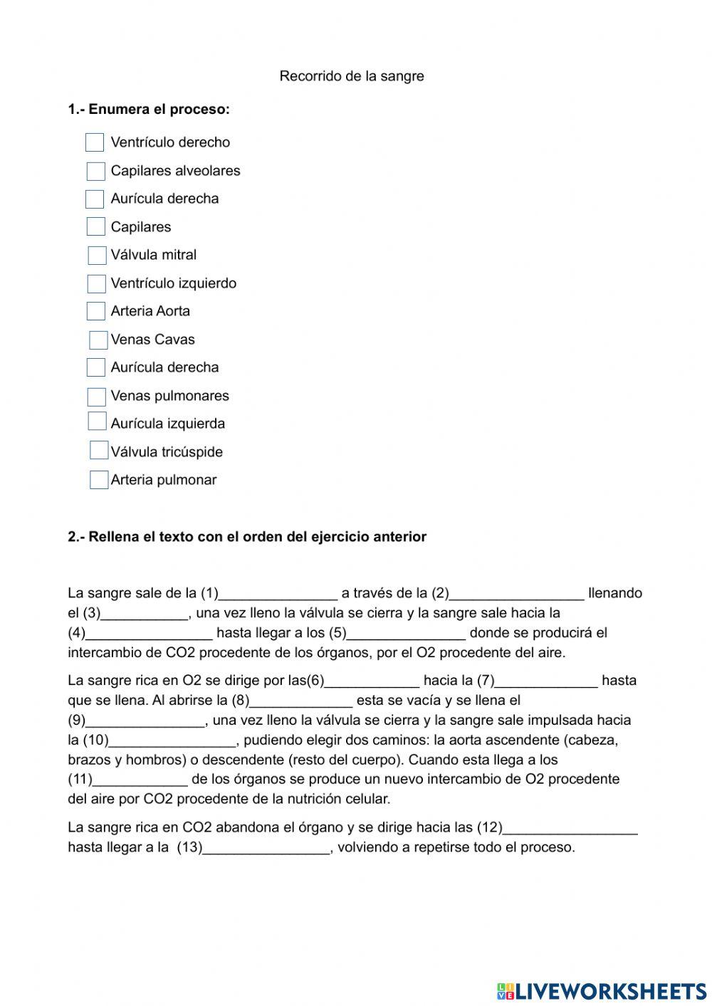 Recorrido de la sangre