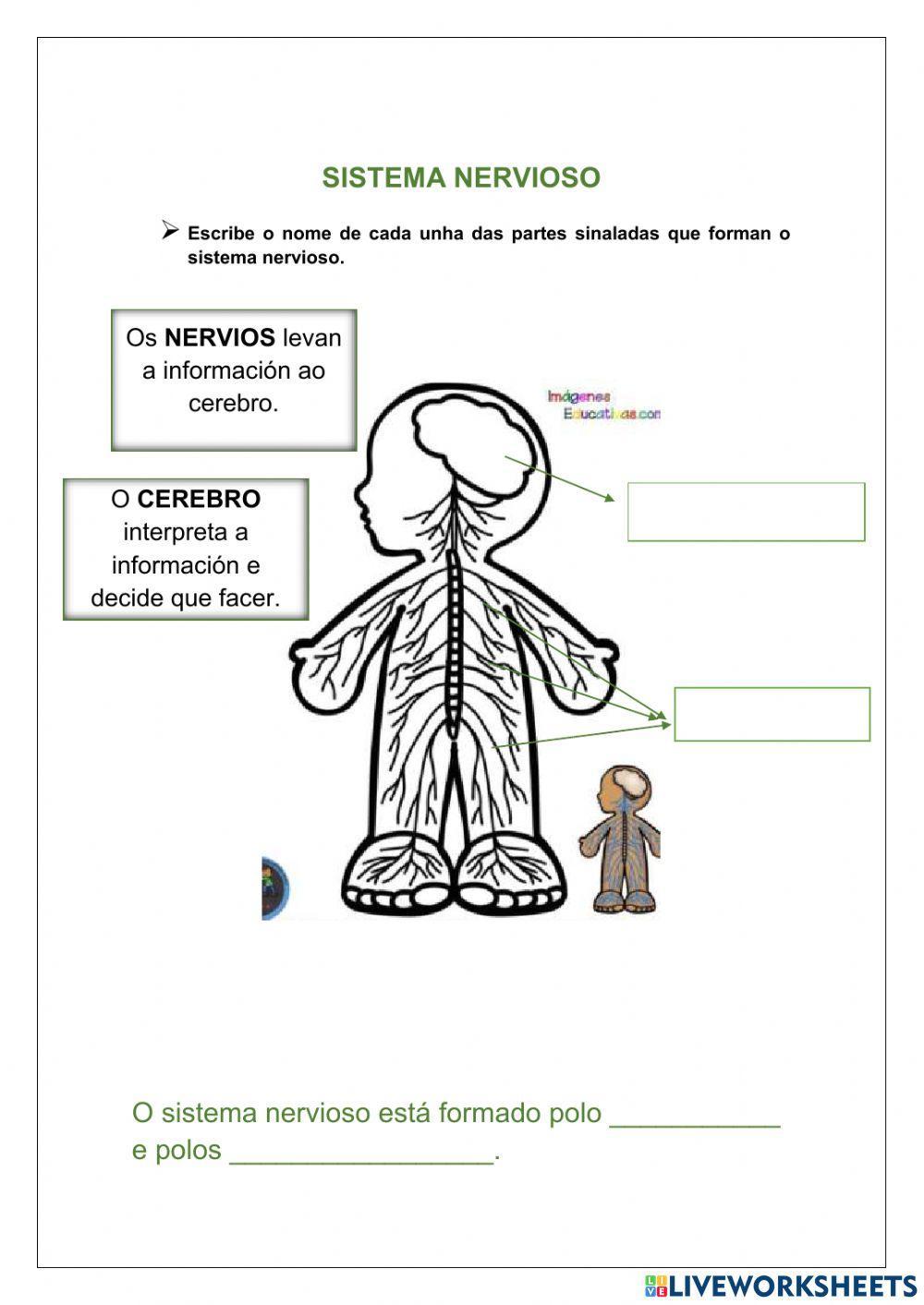 Repaso función de relación