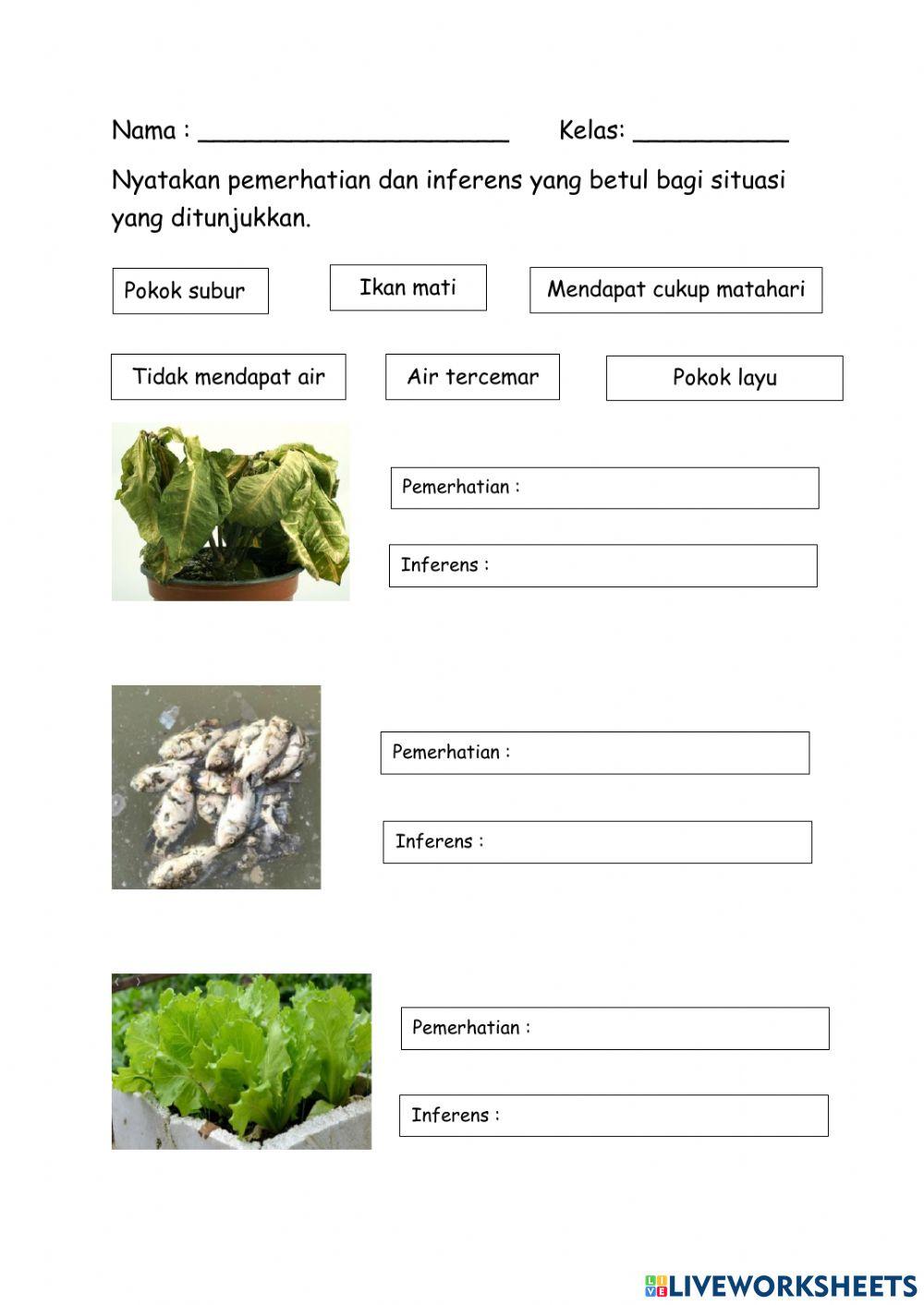 Sains Tahun 3- Membuat Inferens