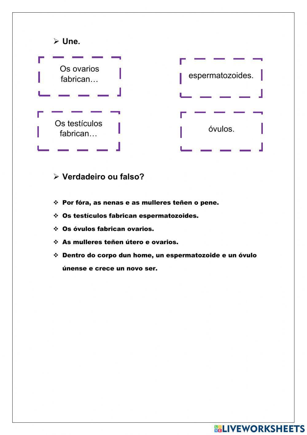 Repaso función de reprodución
