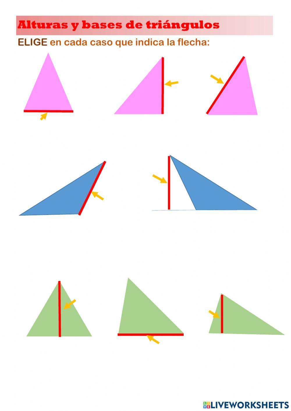 Alturas y bases de triángulos worksheet | Live Worksheets