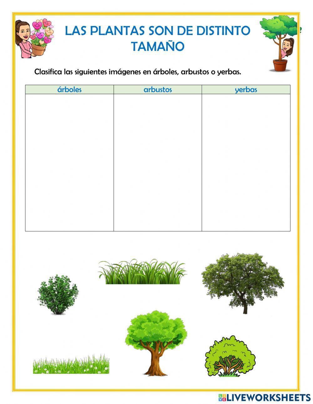 Árbol, arbusto o yerba