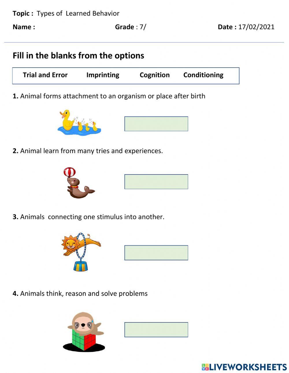Types of learned behavior worksheet live worksheets