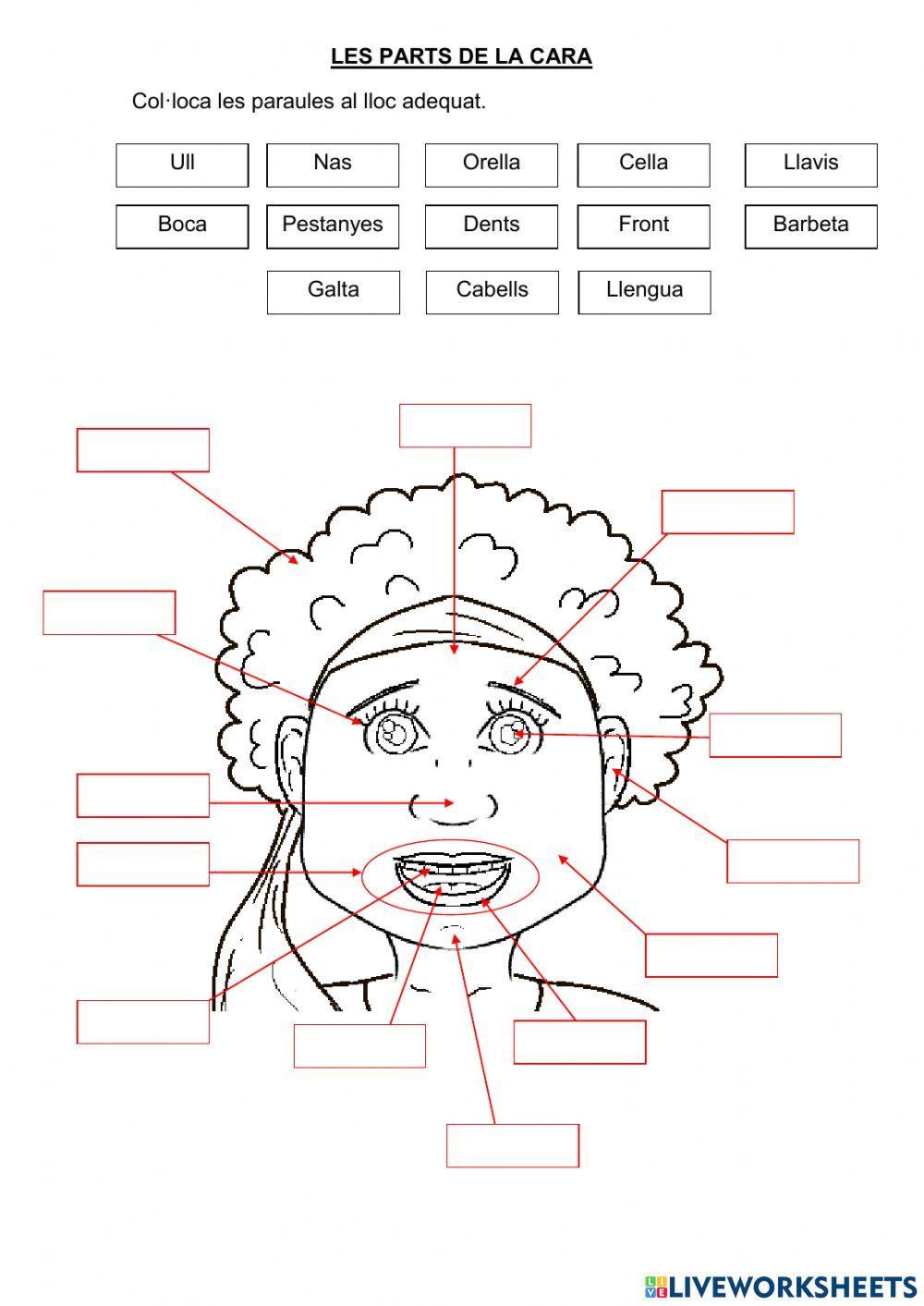Les parts de la cara
