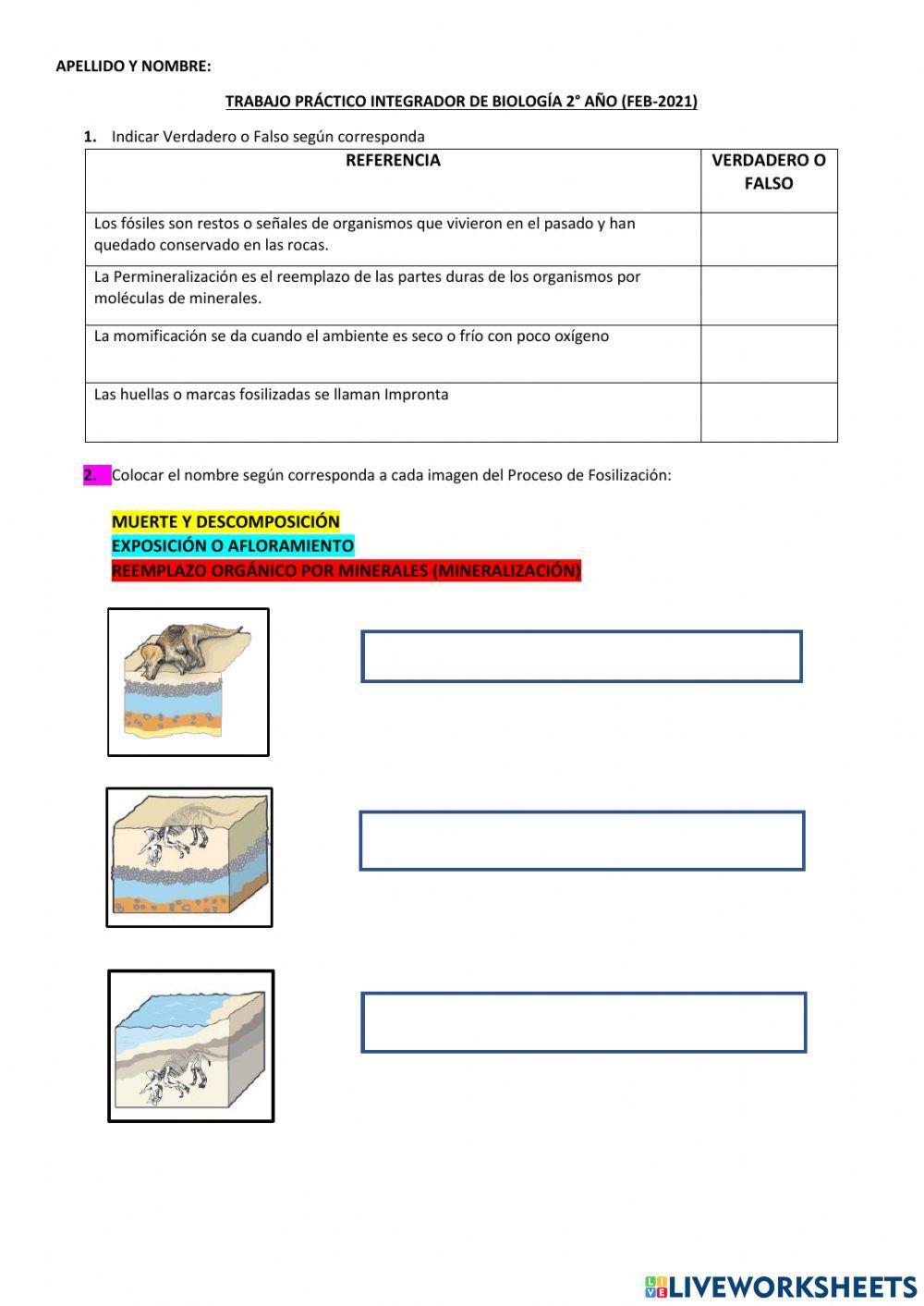 Evolución: Pruebas y teorías