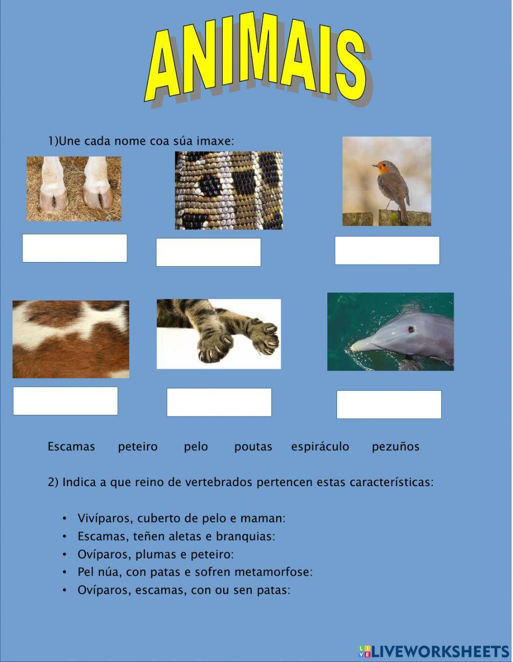 Animais vertebrados