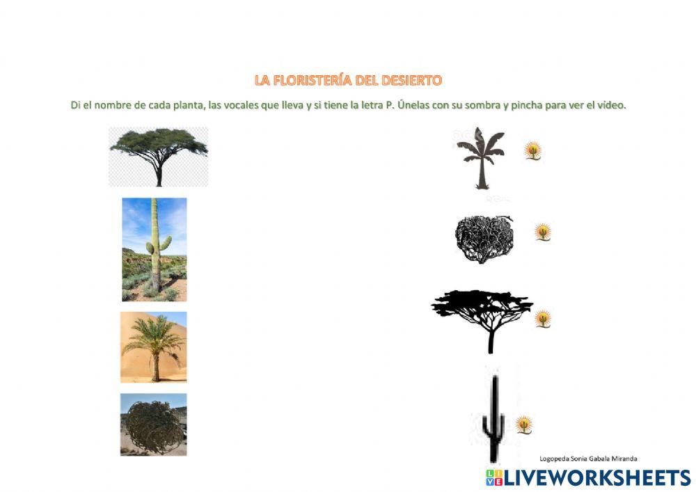 Las plantas del desierto