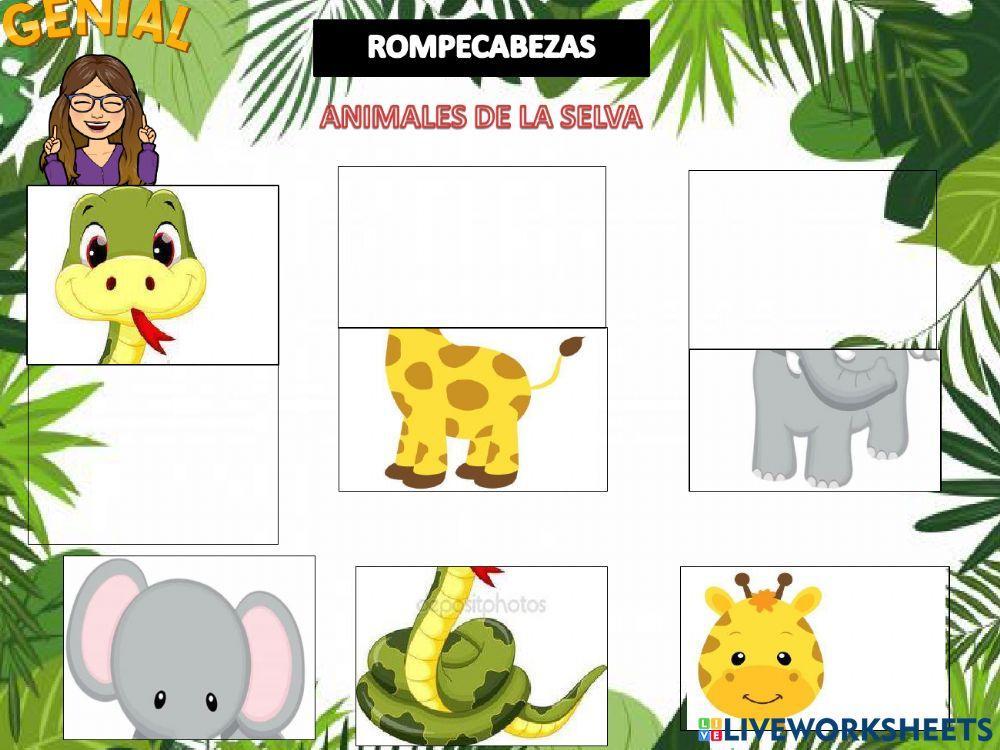 Rompecabezas de la selva Rompecabezas de la selva