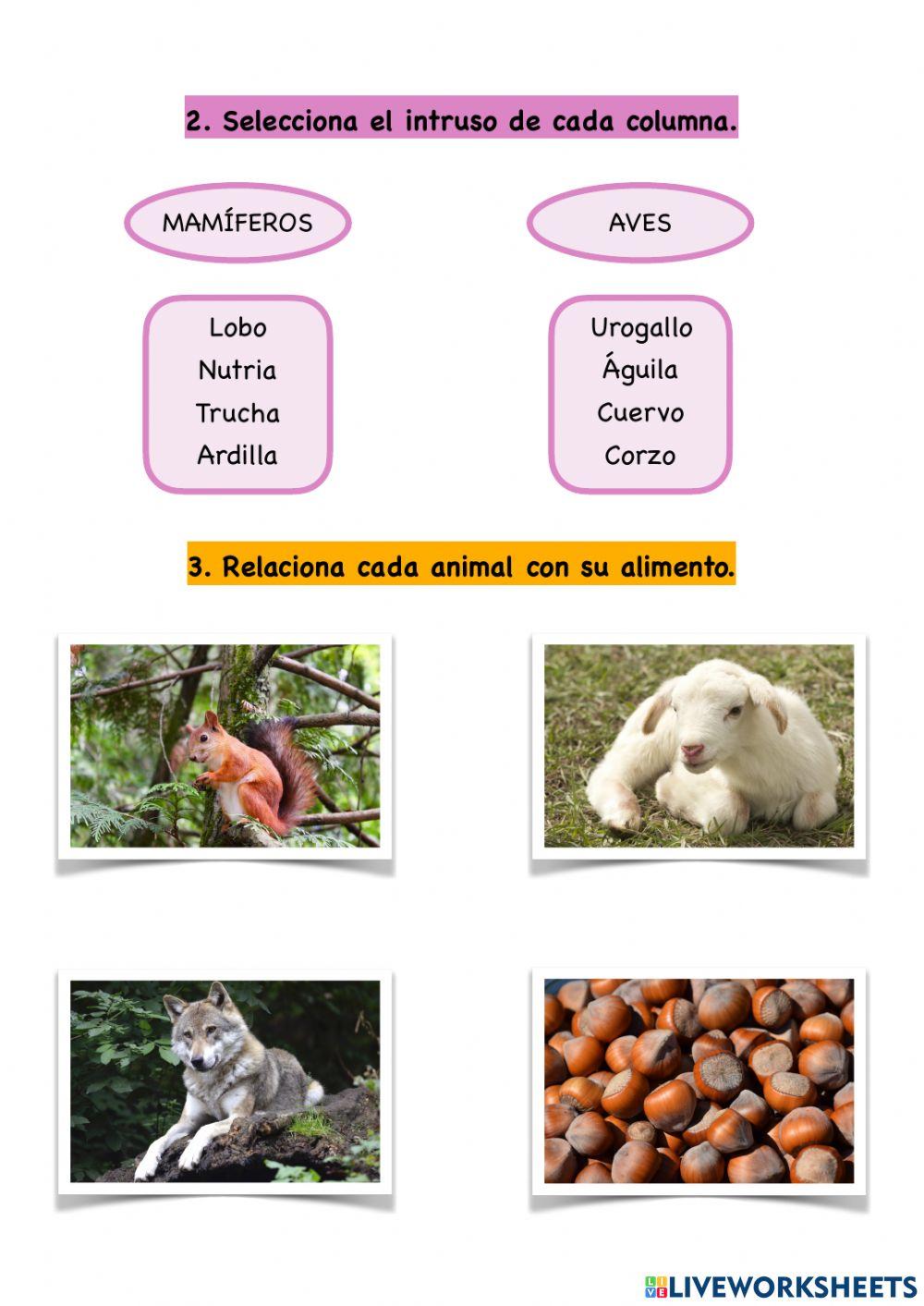 Animales vertebrados