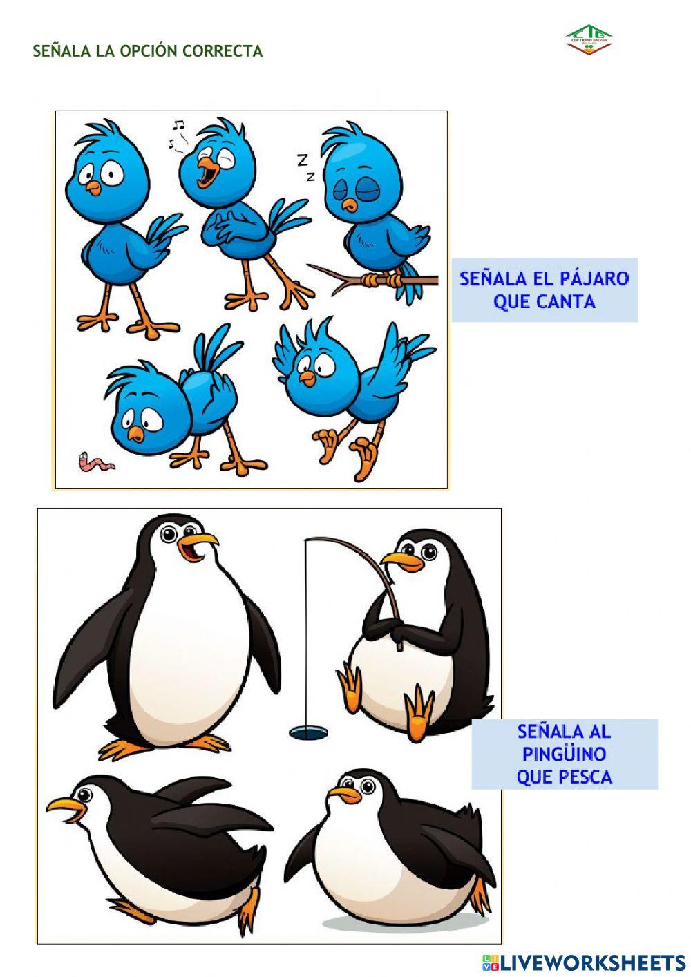 Señala la opción correcta