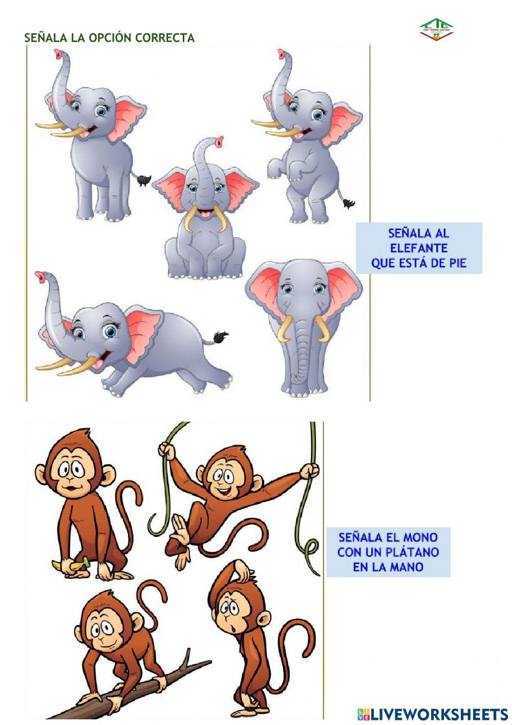 Señala la opción correcta