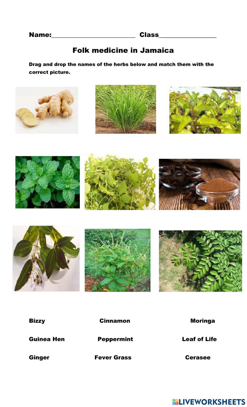 Folk medicines in Jamaica