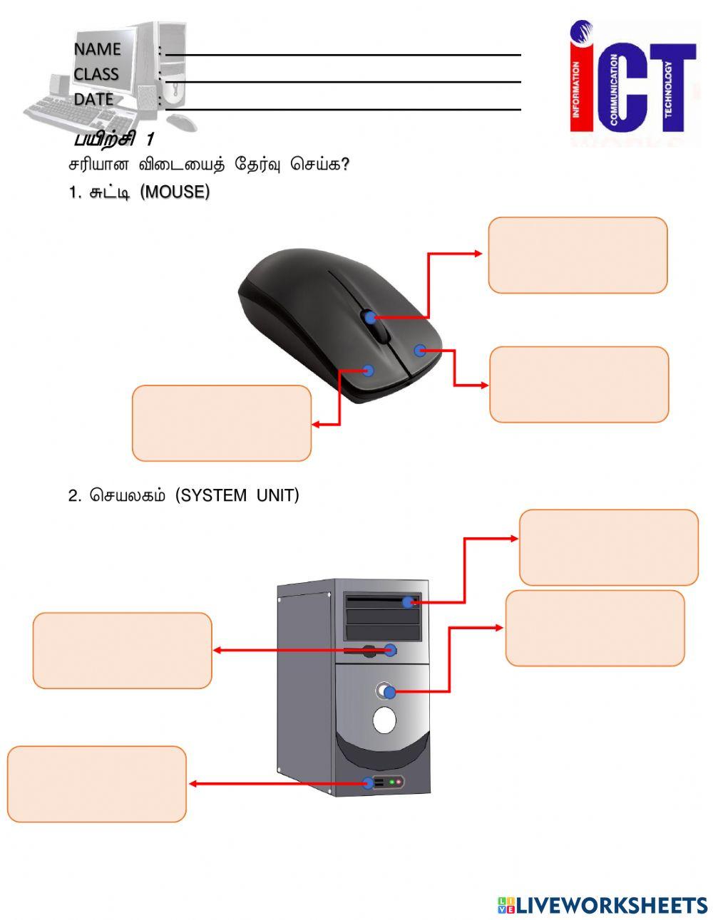 Computer Mouse And System Unit