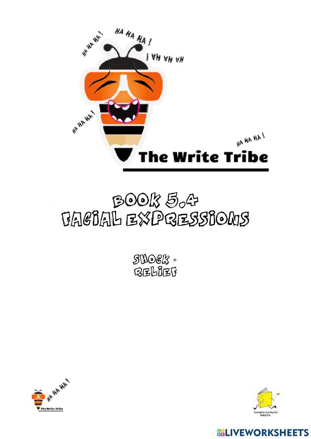 Facial Expressions p5-6 Part D