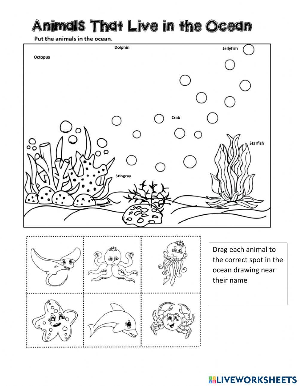 Aquatic Ecosystems Vocabulary