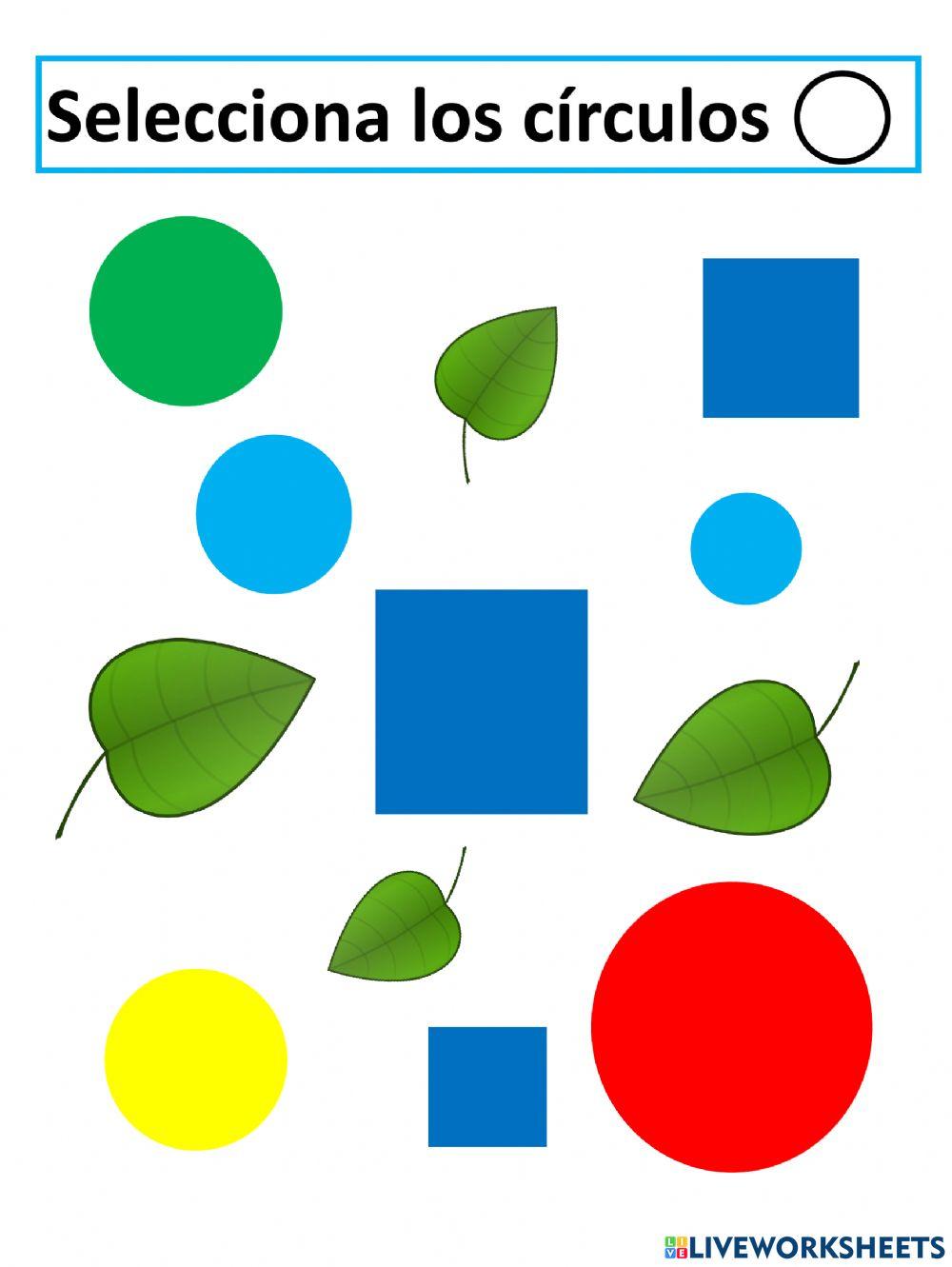 Seleccionar Cículos