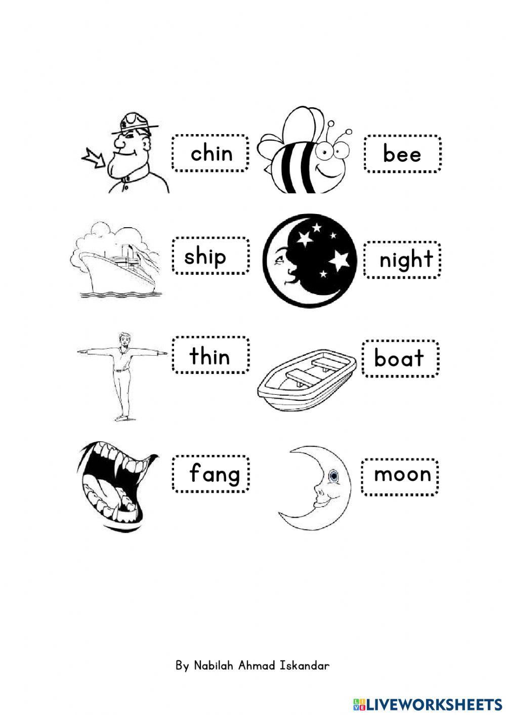 PHONICS Basics all