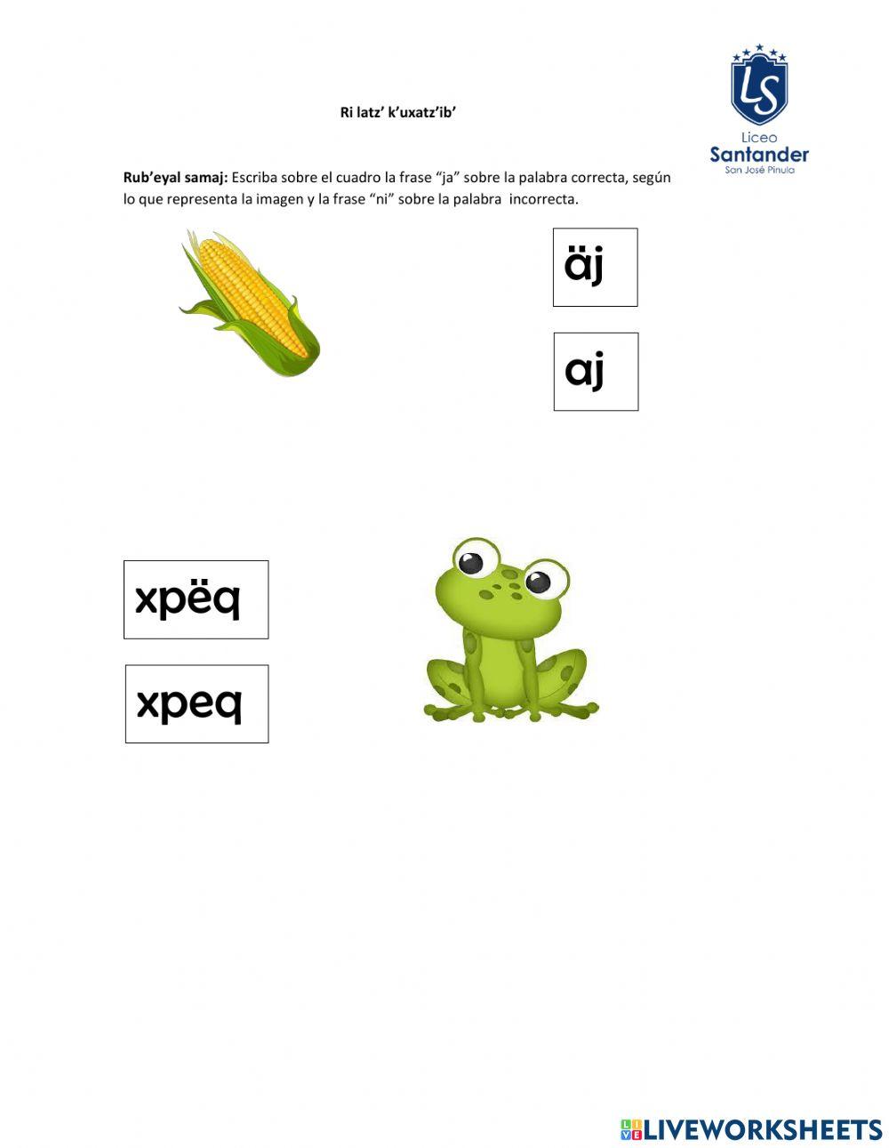 Ri latz' k'uxatz'ib'