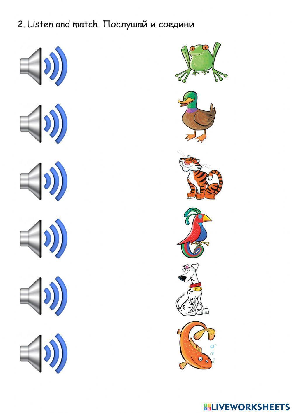 Kid's Box Starter. My animals