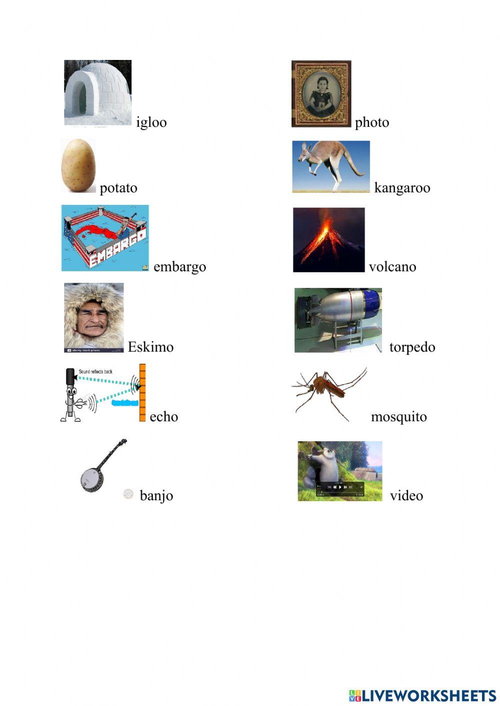 Plural Nouns - Words that end in o