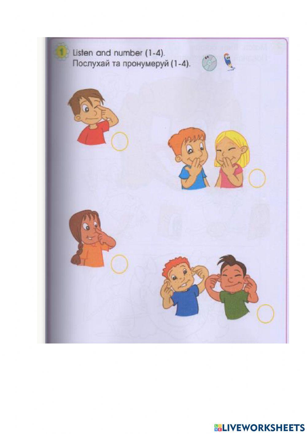 Smart Junior Body parts