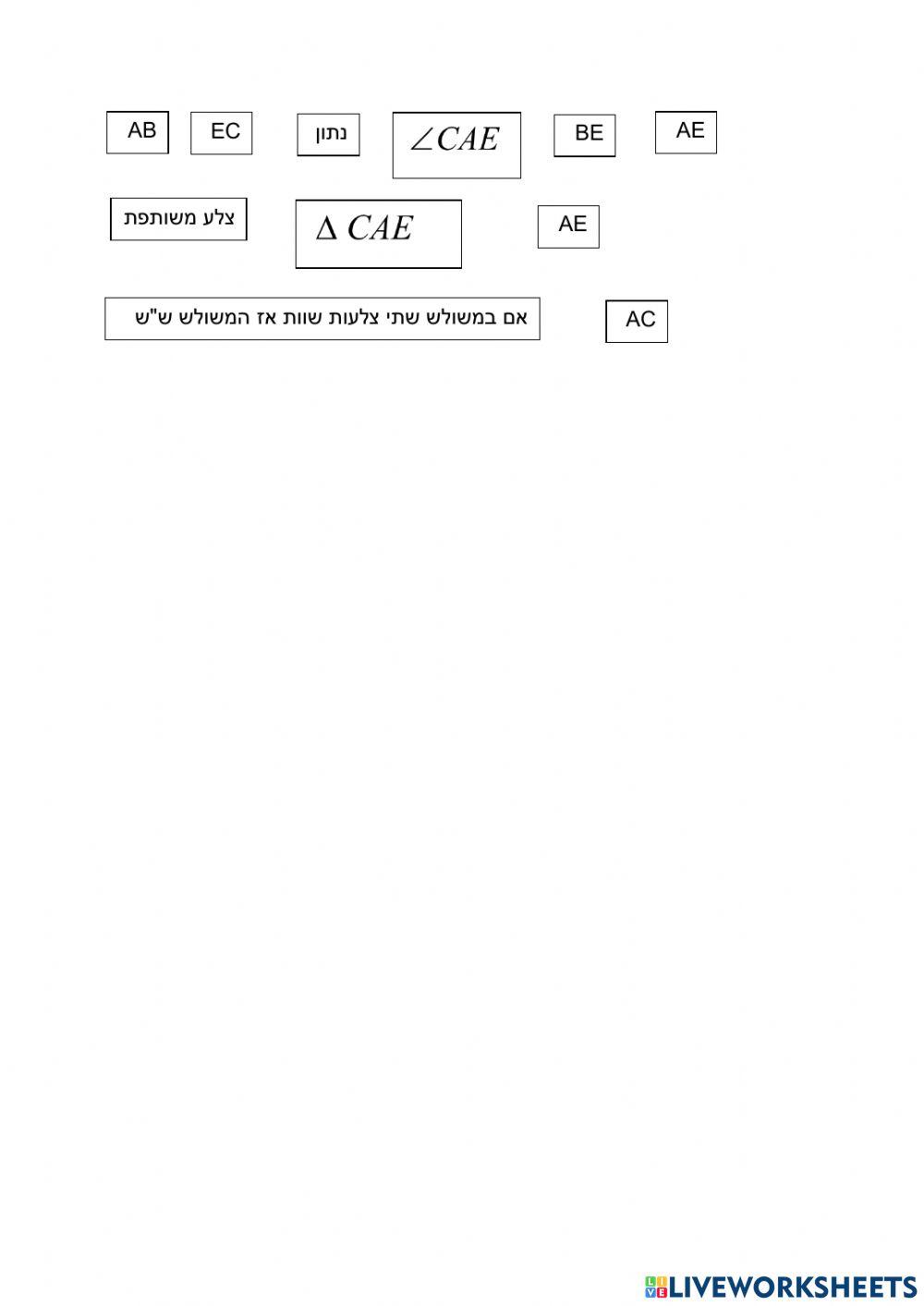 משולש שווה שוקיים וחפיפת משולשים