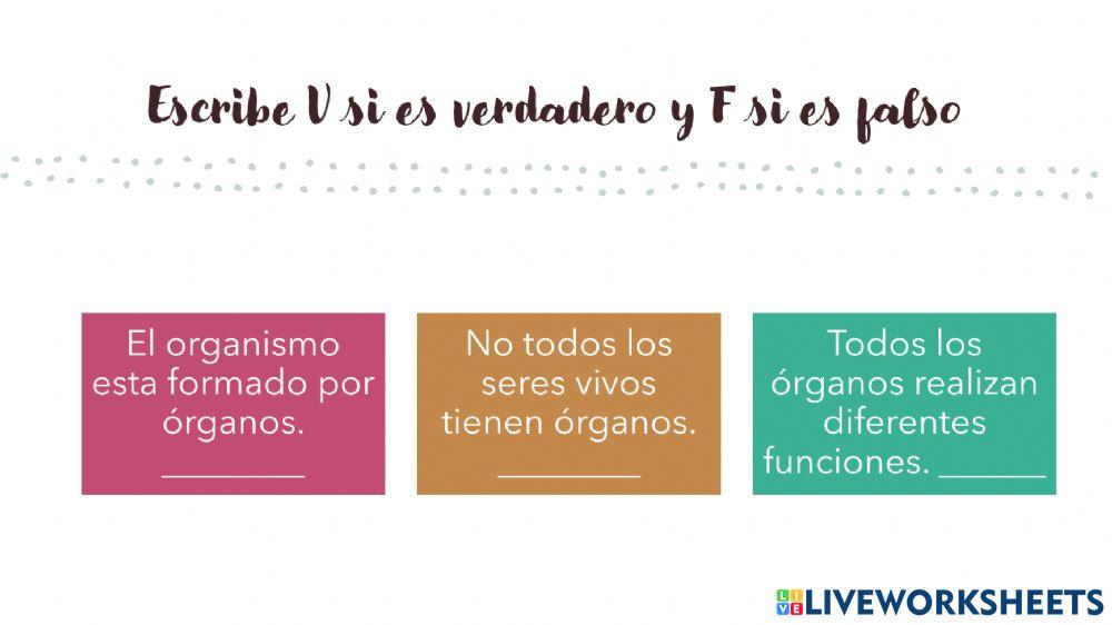 Los sistemas del cuerpo humano