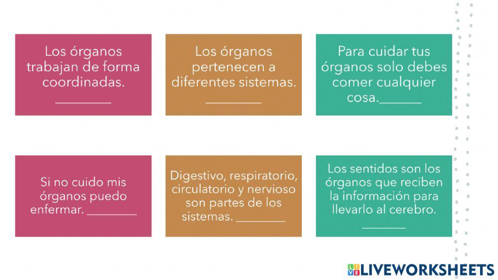 Los sistemas del cuerpo humano