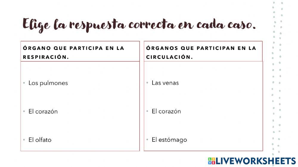 Los sistemas del cuerpo humano