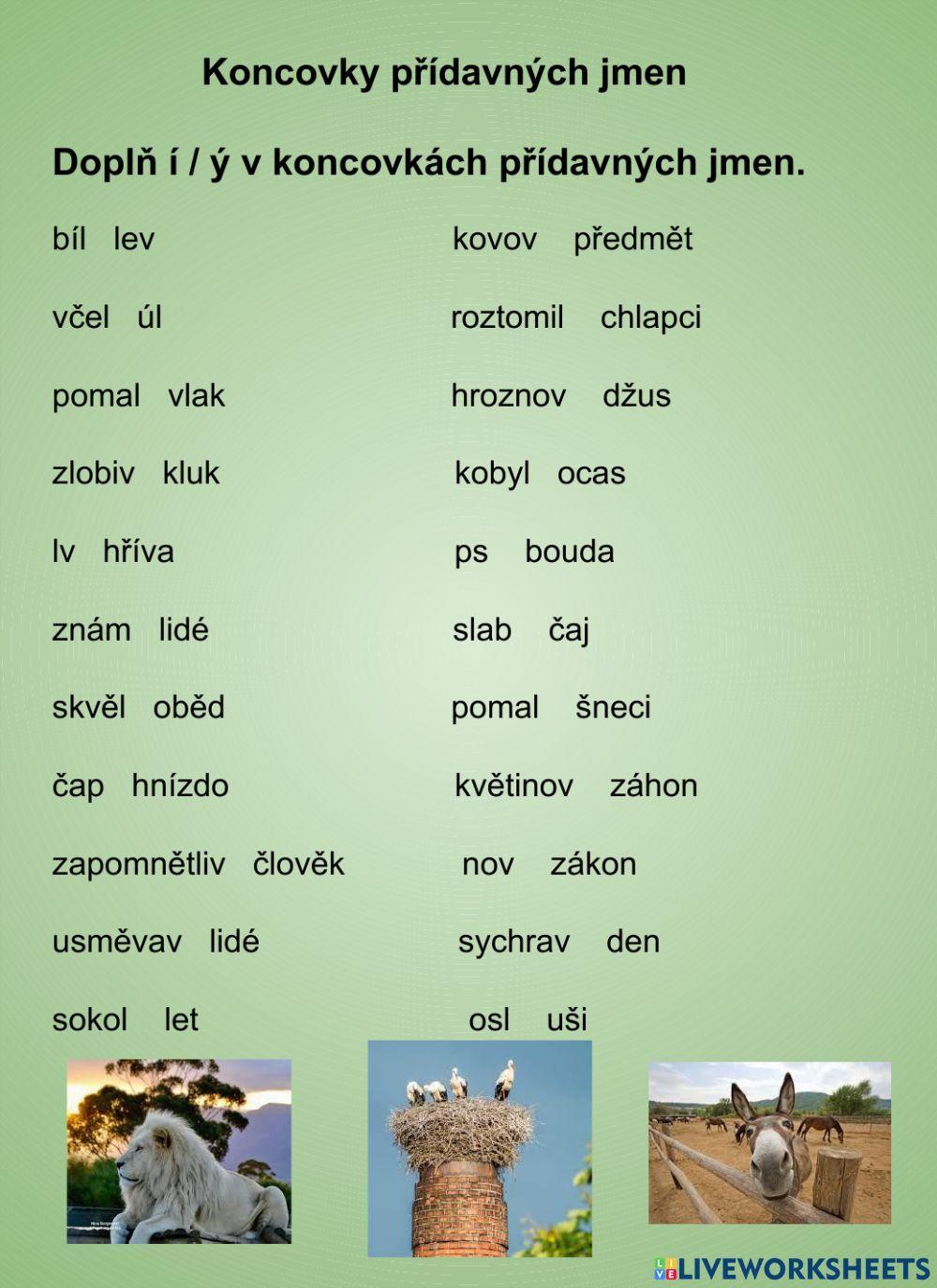 Koncovky přídavných jmen